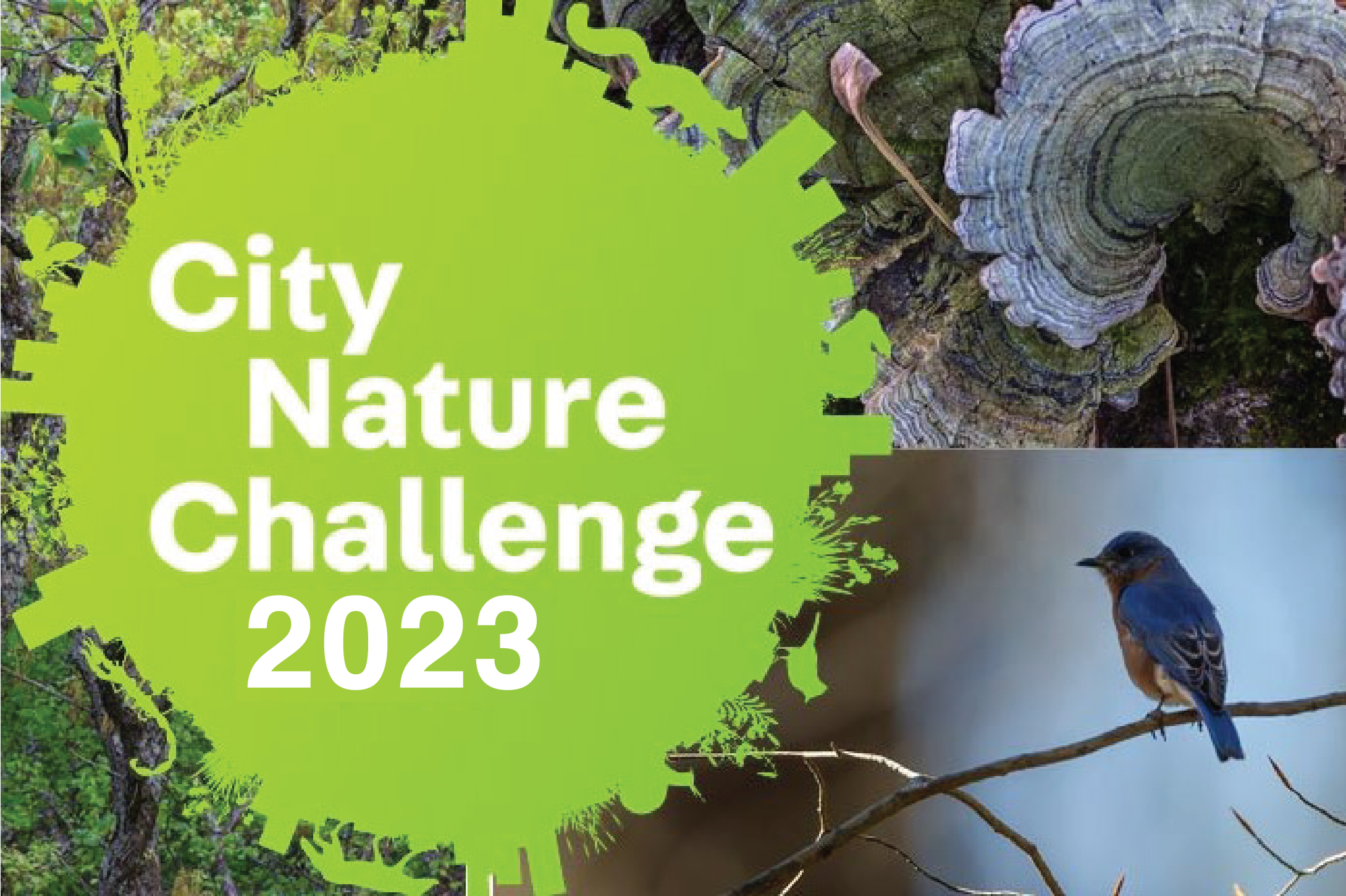 Atlanta's City Nature Challenge is ON!