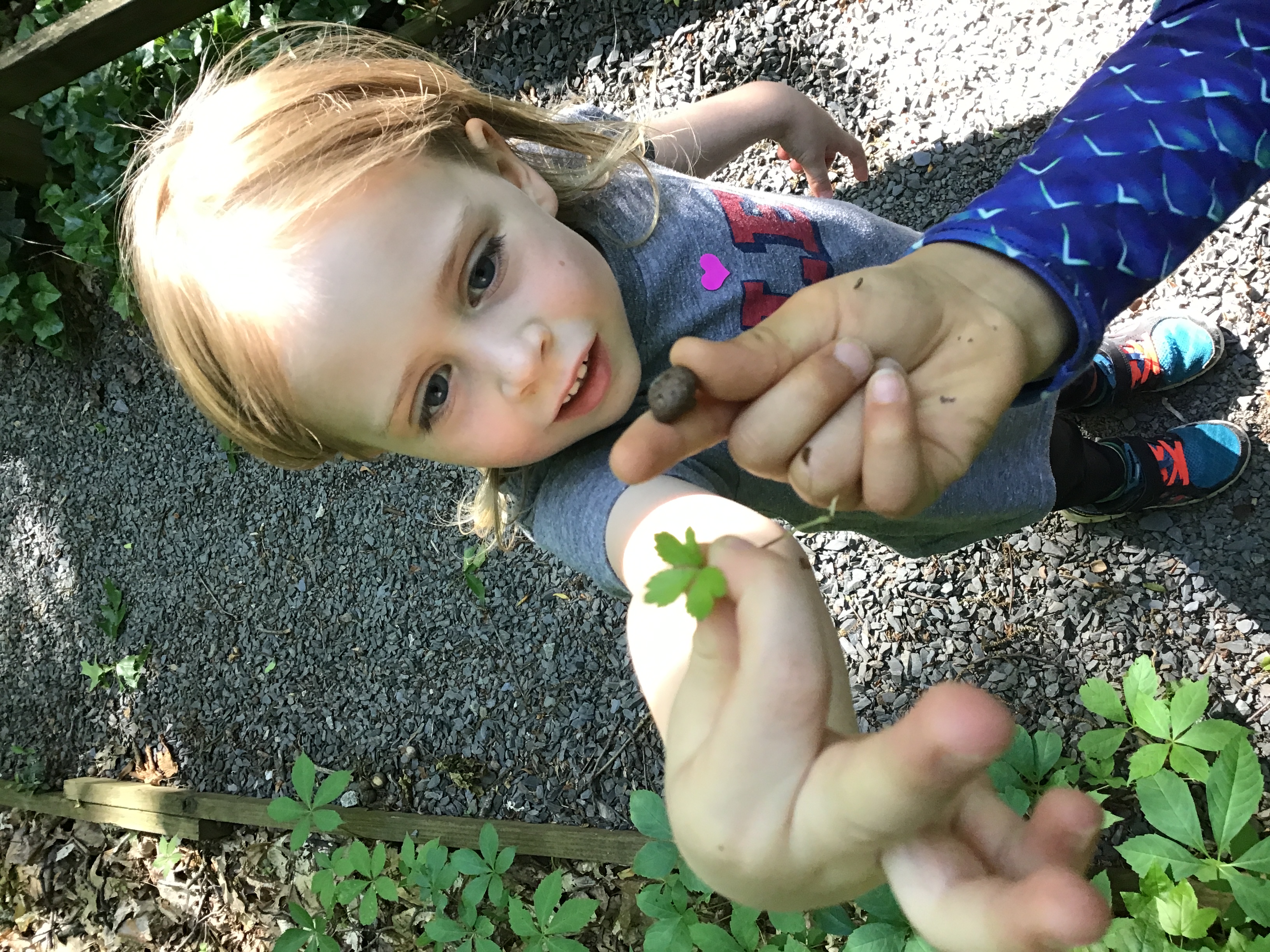 Frazer Pre-K student participating in City Nature Challenge