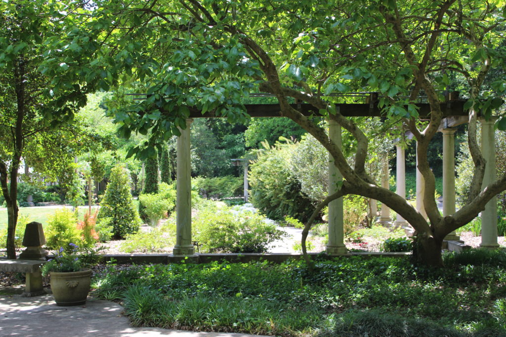 A view of Cator Woolford Gardens