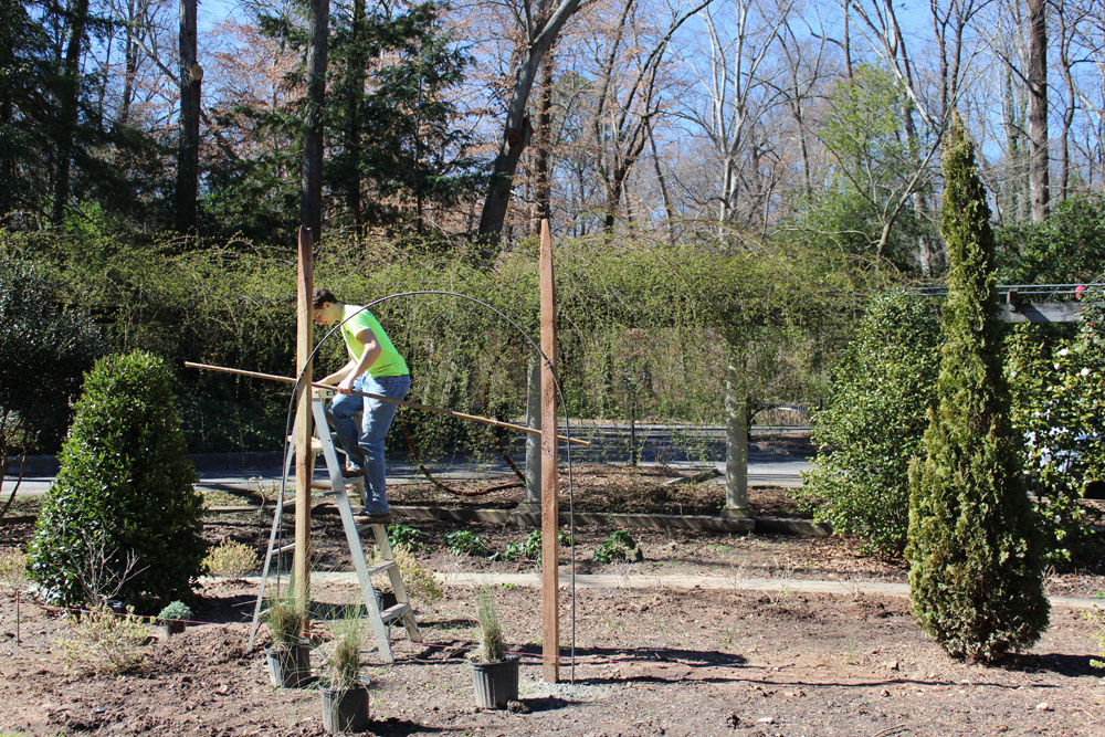 Redesigning Cator Woolford Gardens