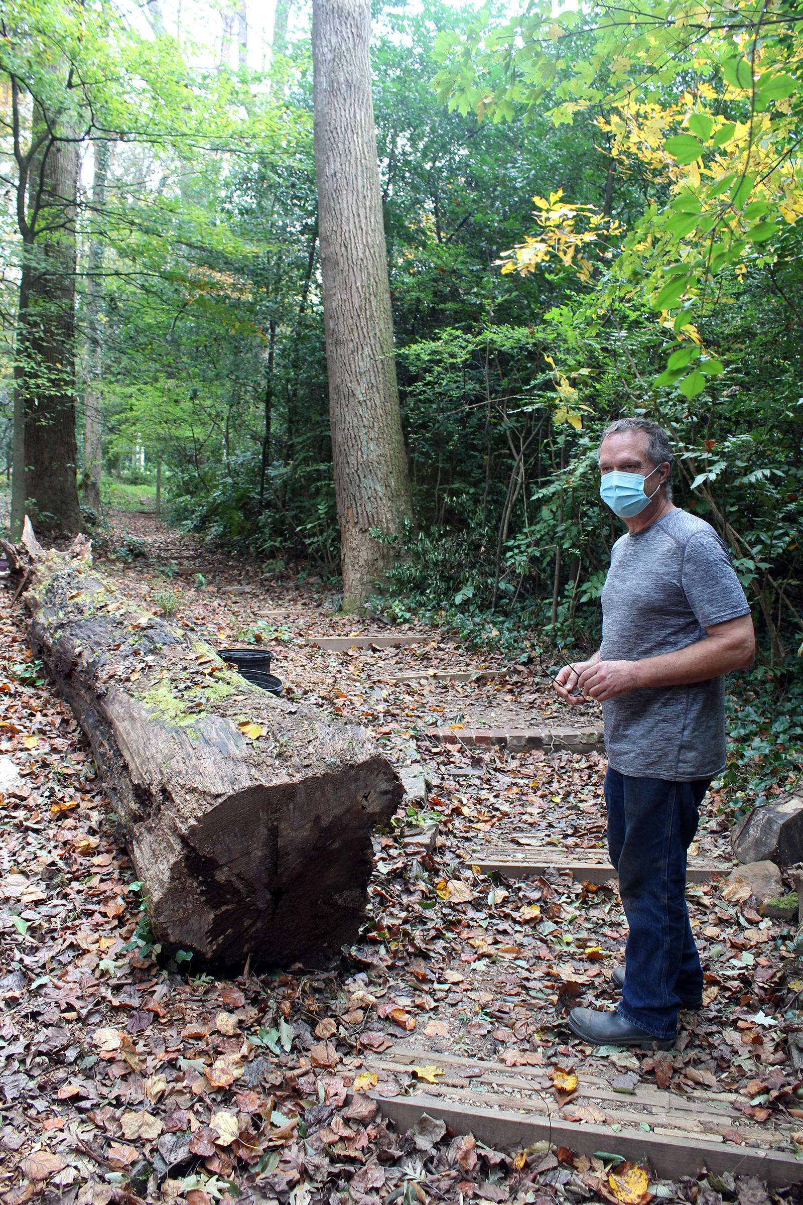 Jim repurposed wood to restore this path on the north side of the garden.