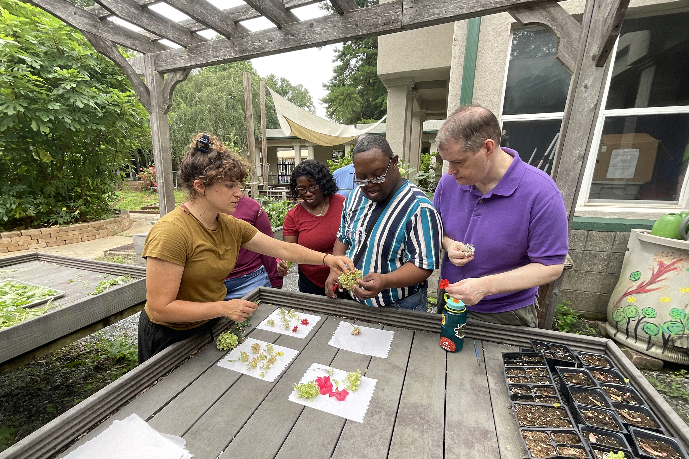 Horticultural Therapist Lauren Ladov leads a botanical art project in the courtyard garden with Maurice, Justin, and other adult participants, with help from Direct Support Professional June.