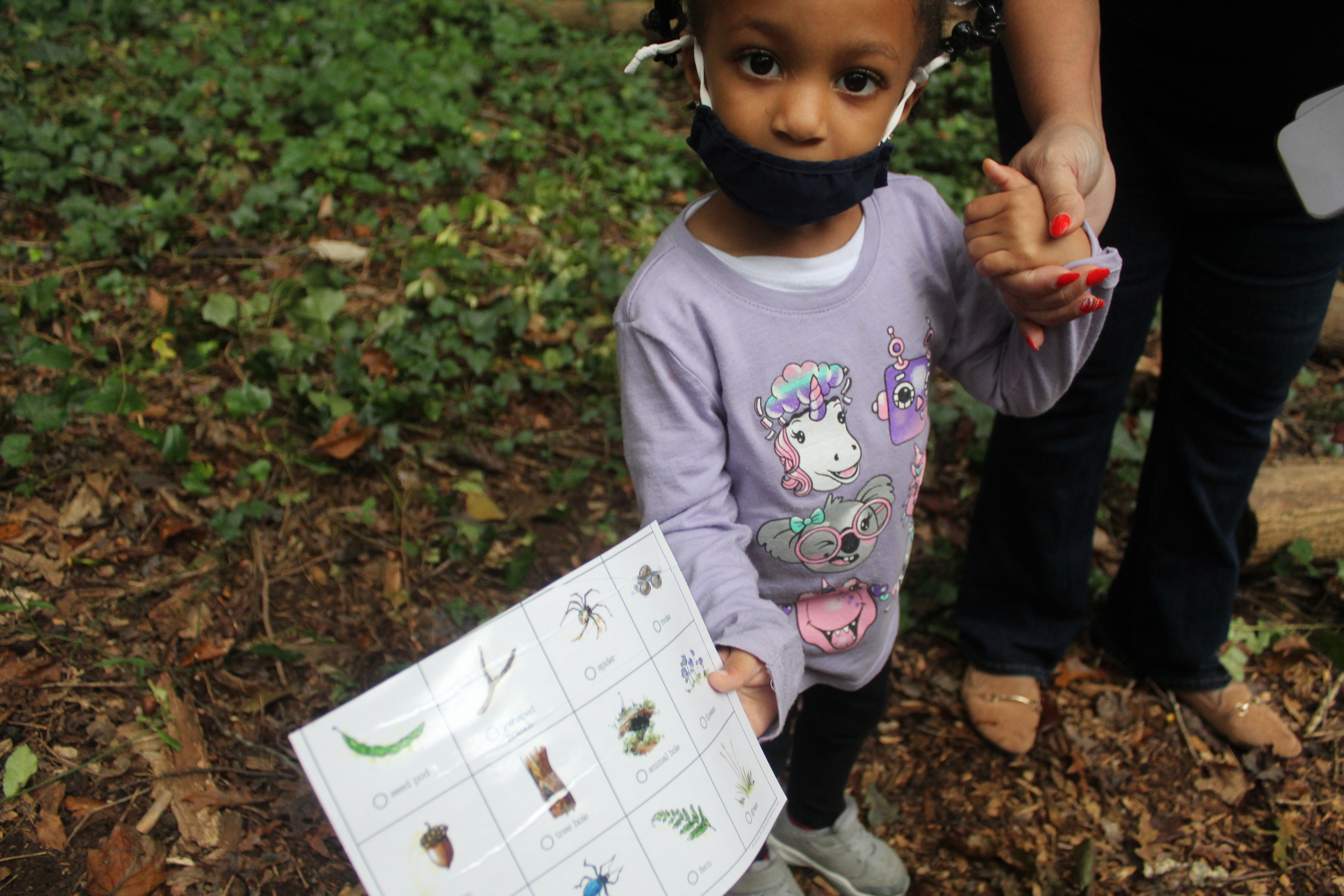 We’re searching for these items in the forest.
