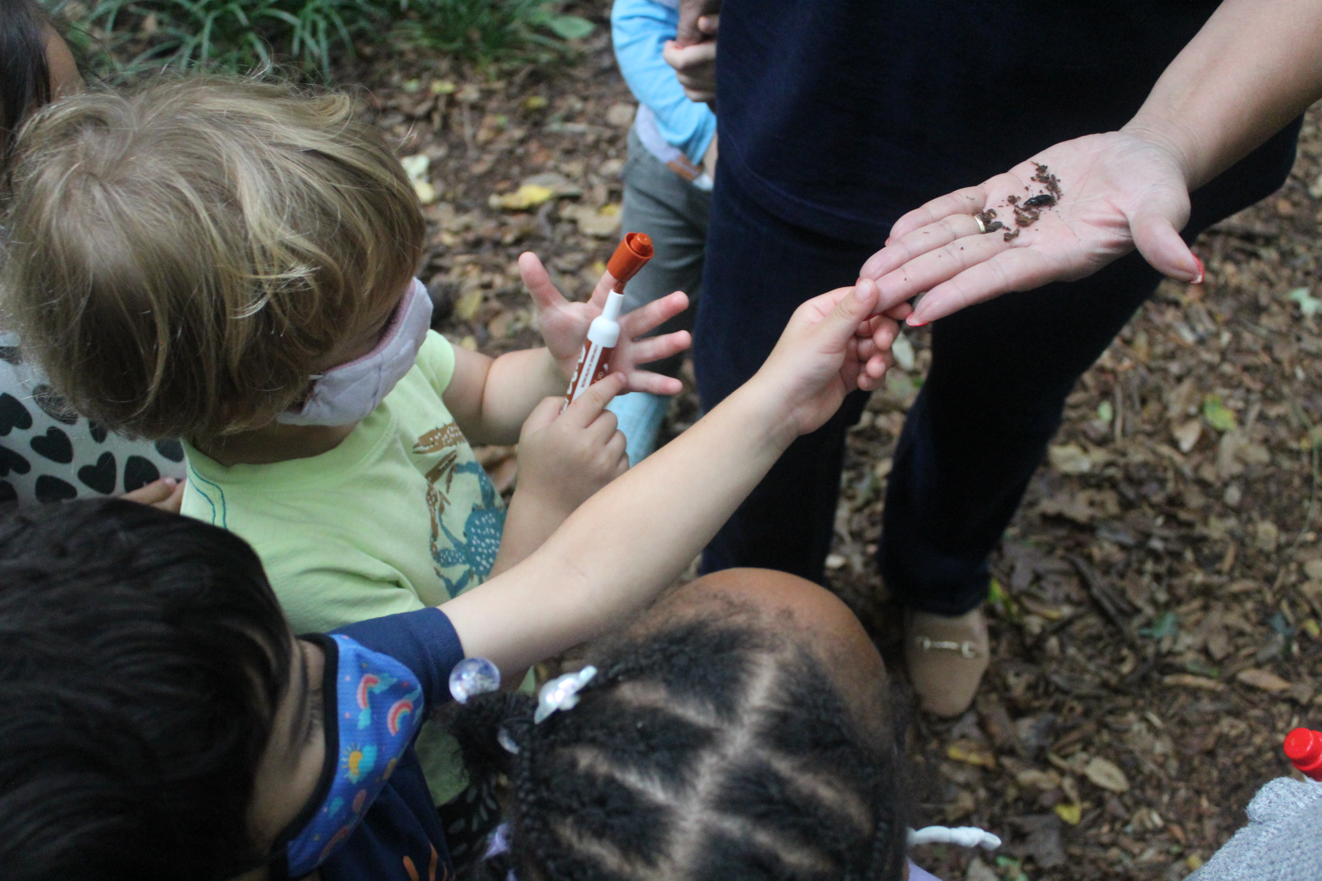 Ms. Cathy found a bug!