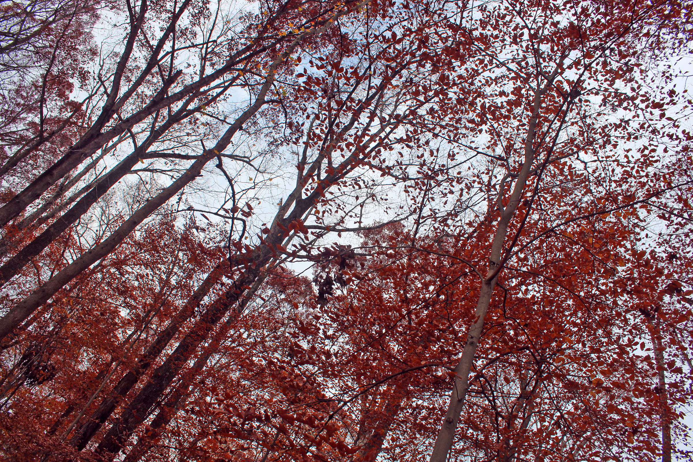 ff-vol-day-12-2024_img_2505_edit_2.jpg