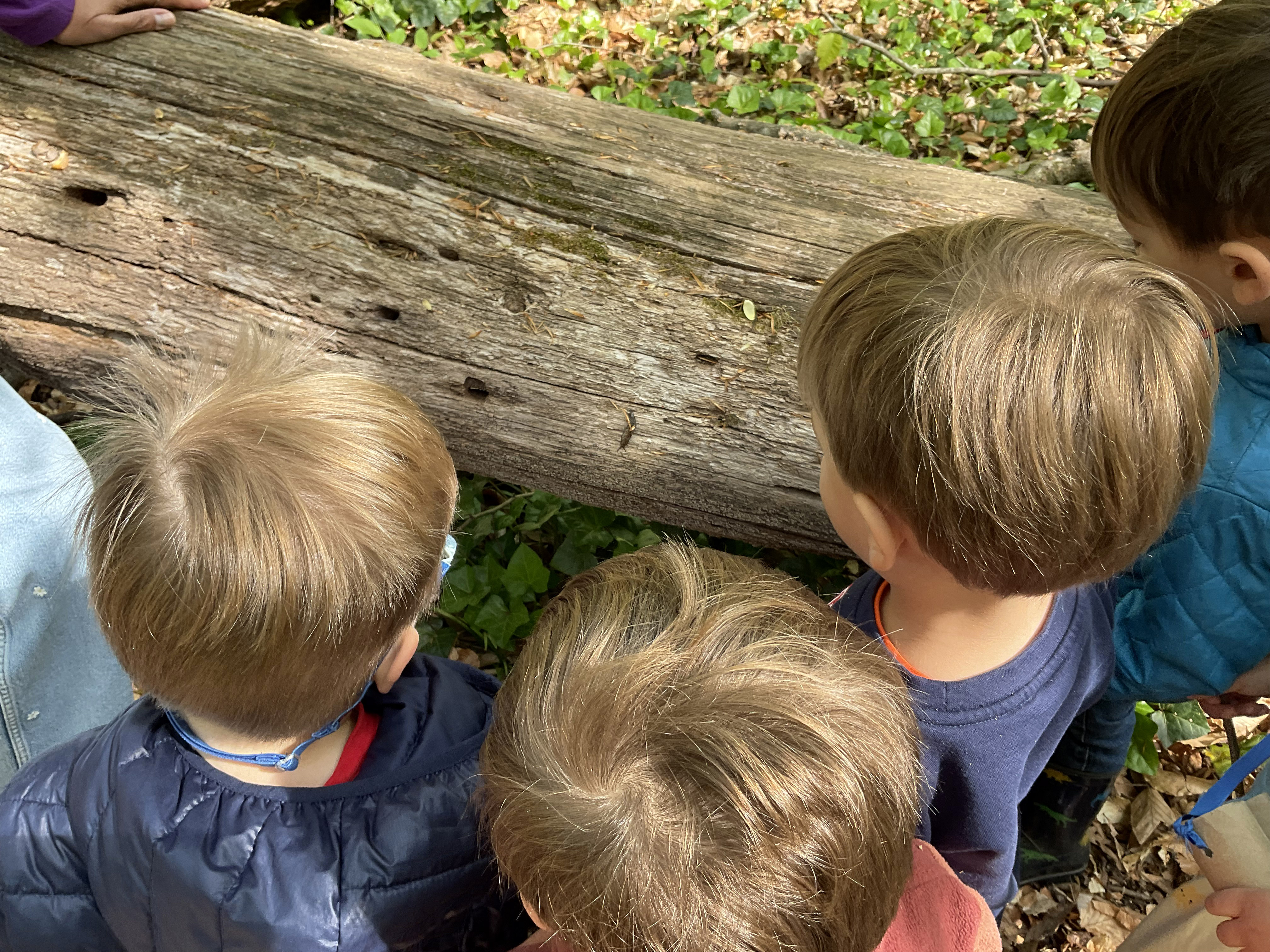 Watching and waiting and watching and waiting...