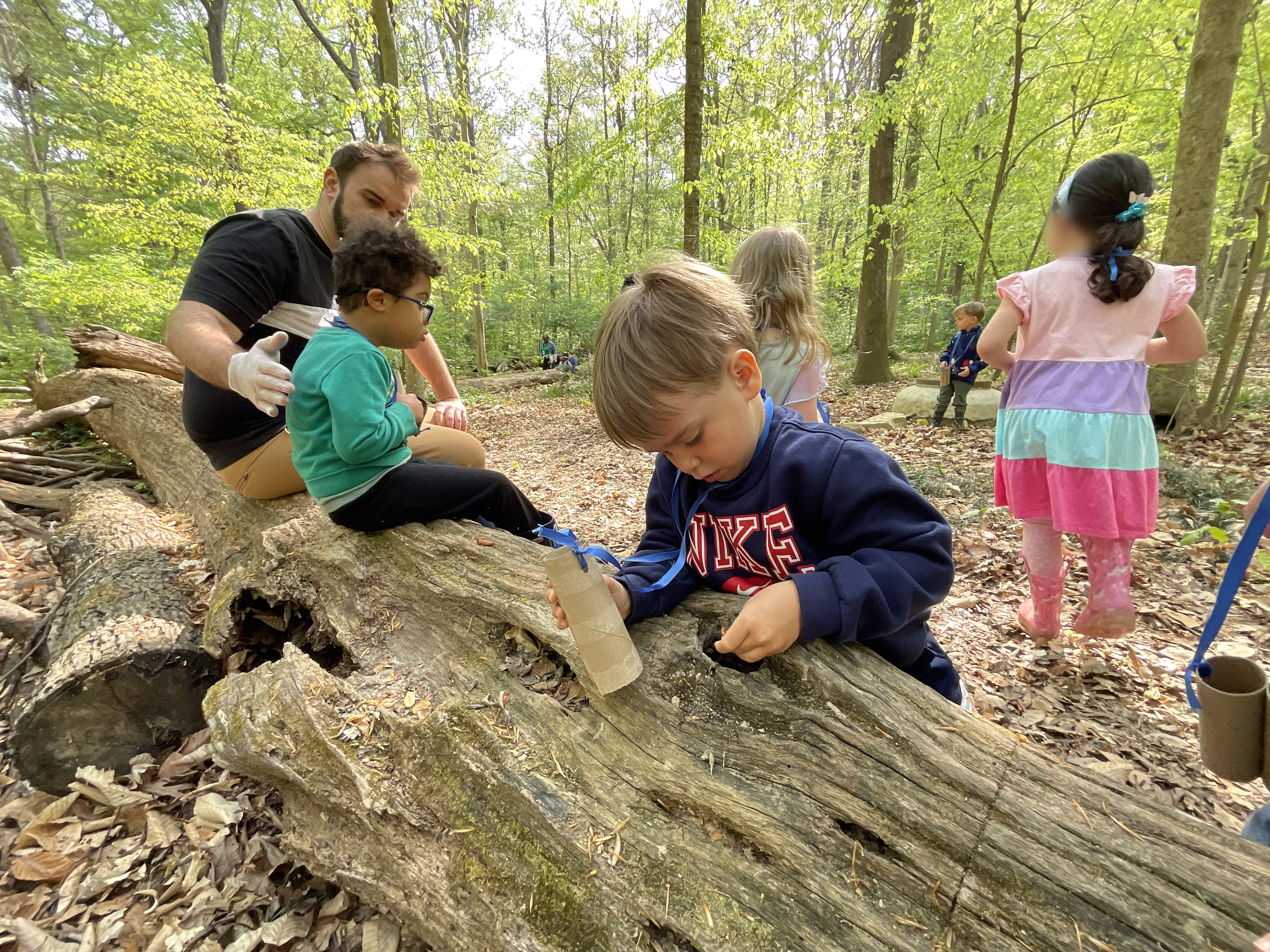 Logs are a treasure chest.