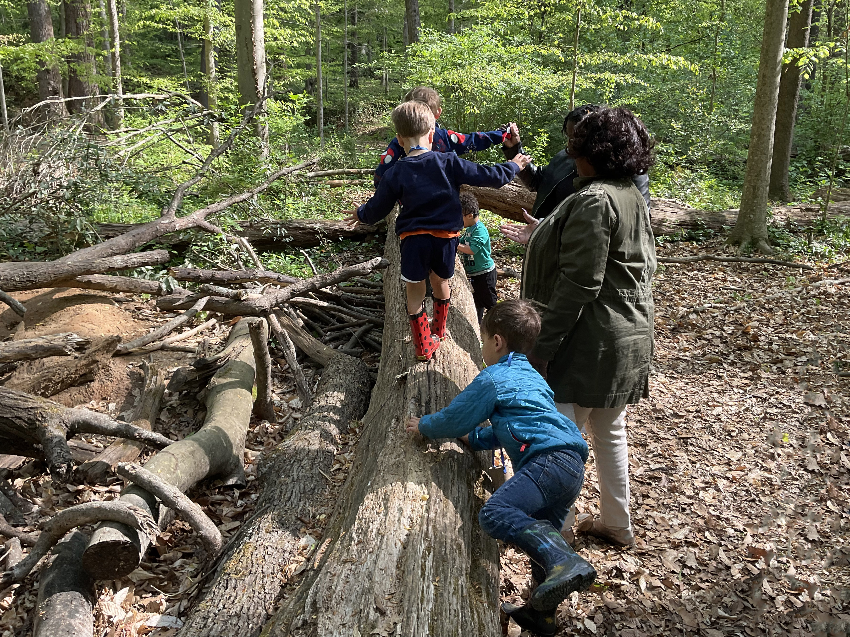 Climbing logs—a fun challenge