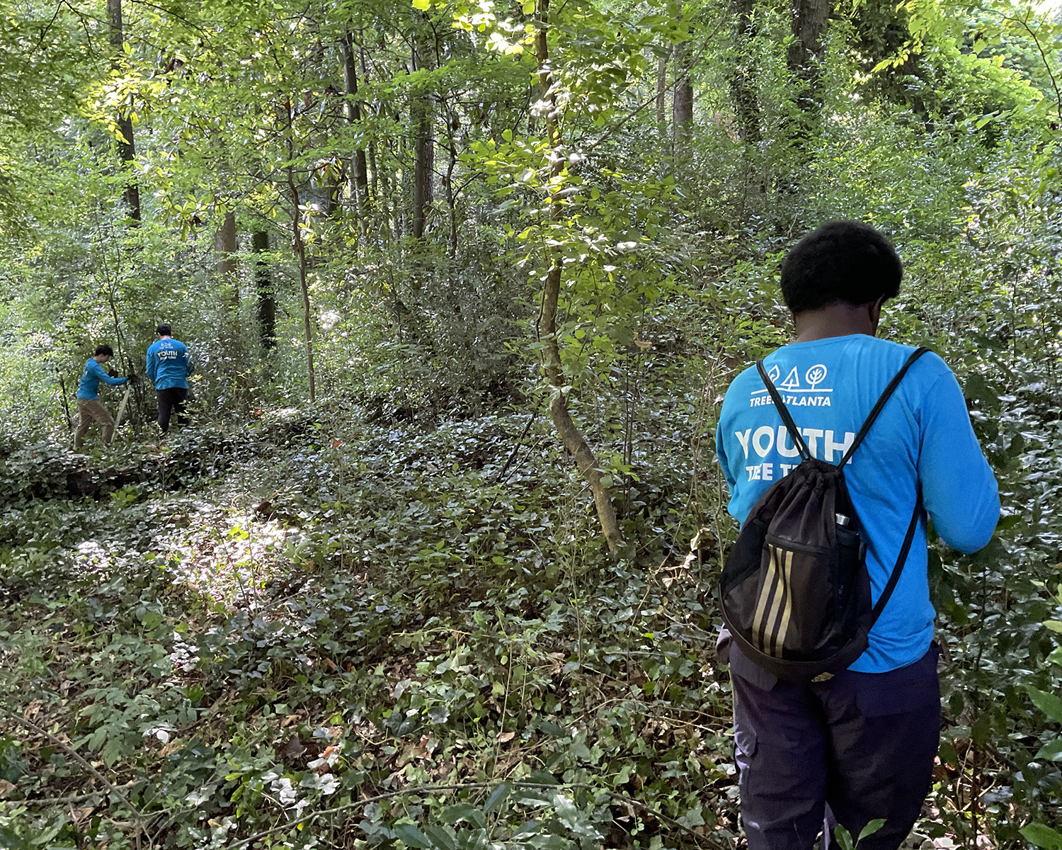 This and other teams work steadily to remove aggressively invasive species, like cherry laurel, so native underbrush has room to flourish.