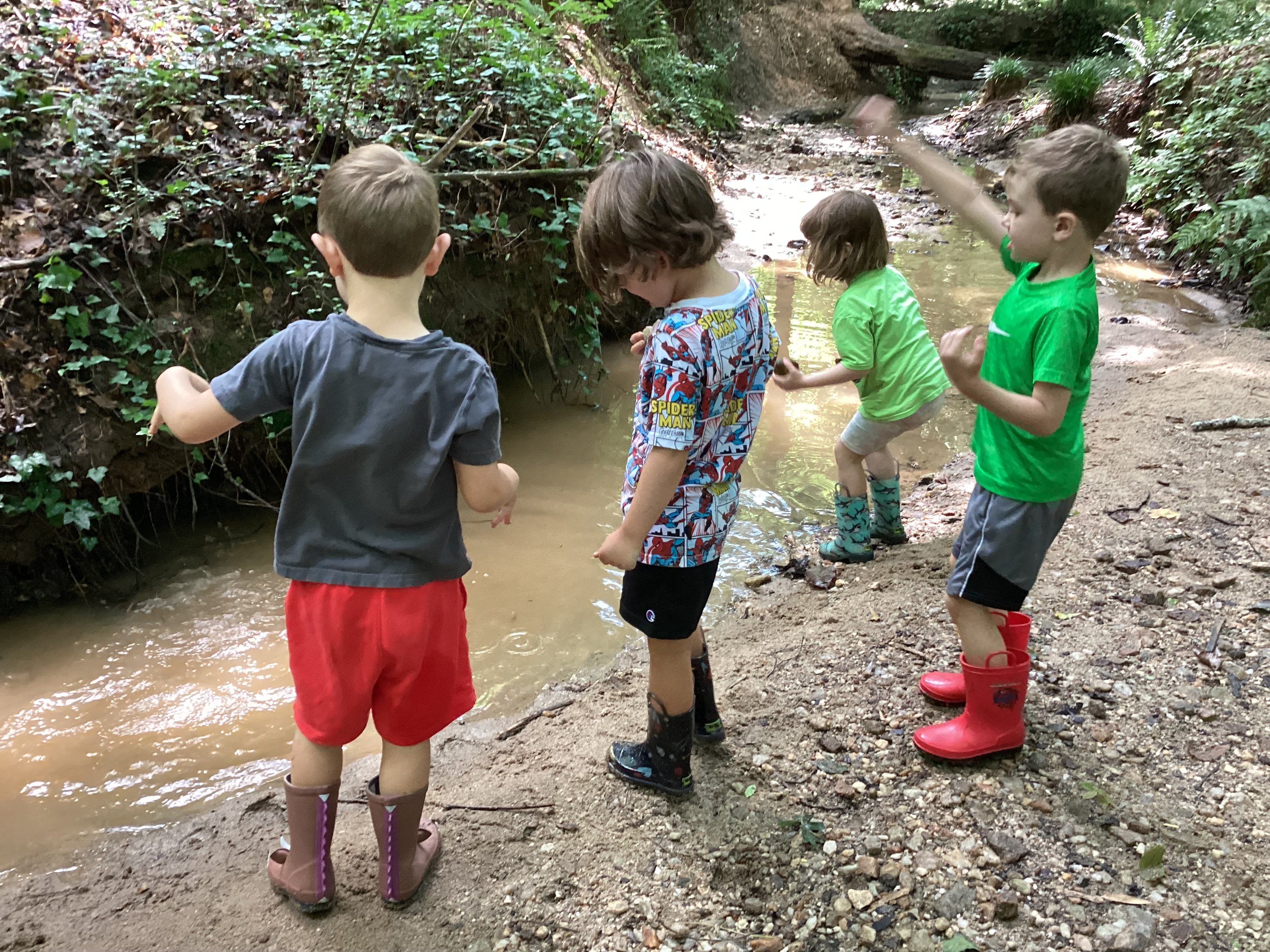 Summer Camp 2023: Creek-play in Frazer Forest.