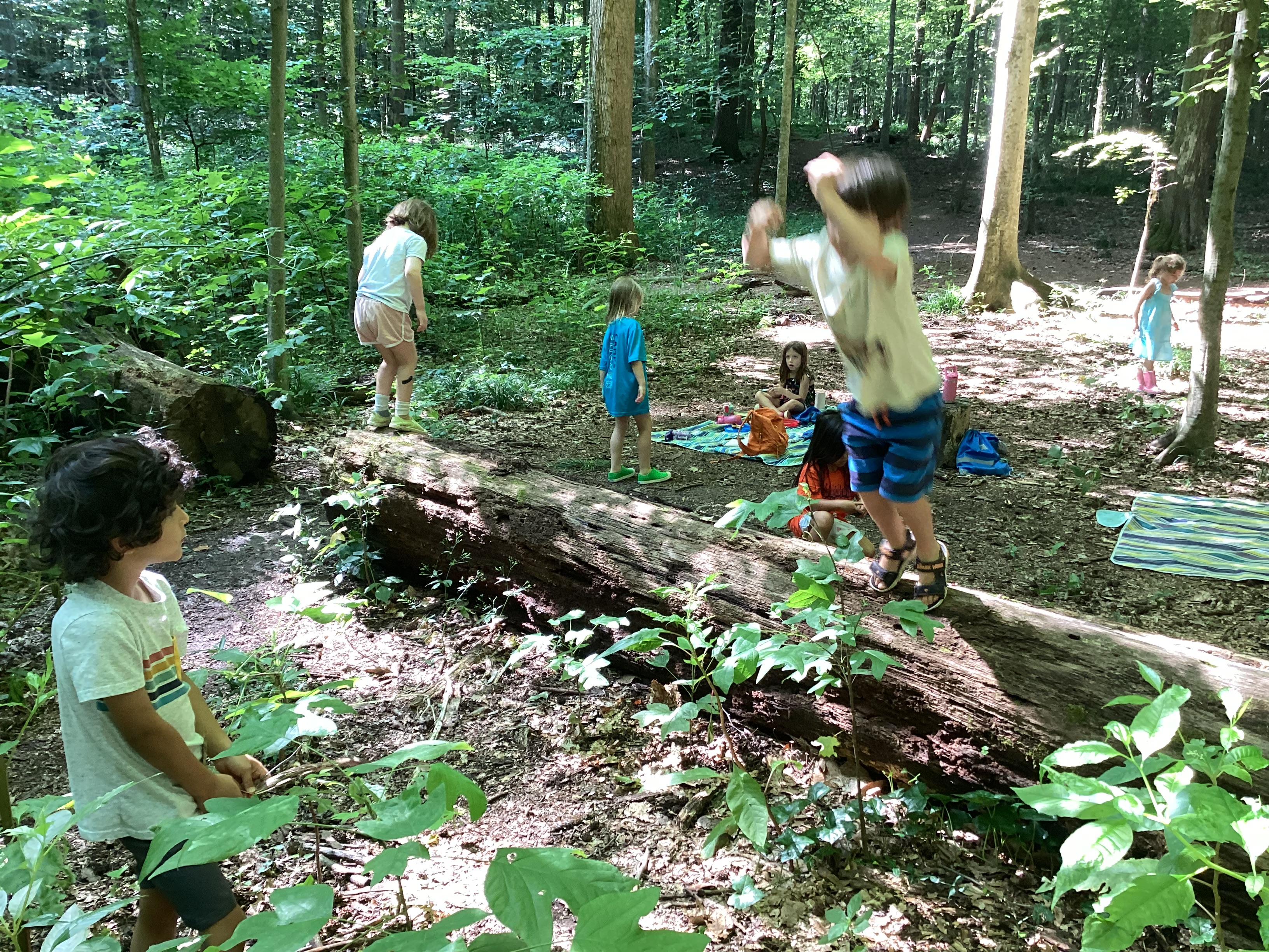 Summer Camp 2023: Log-jumping! (And developing balance skills.)