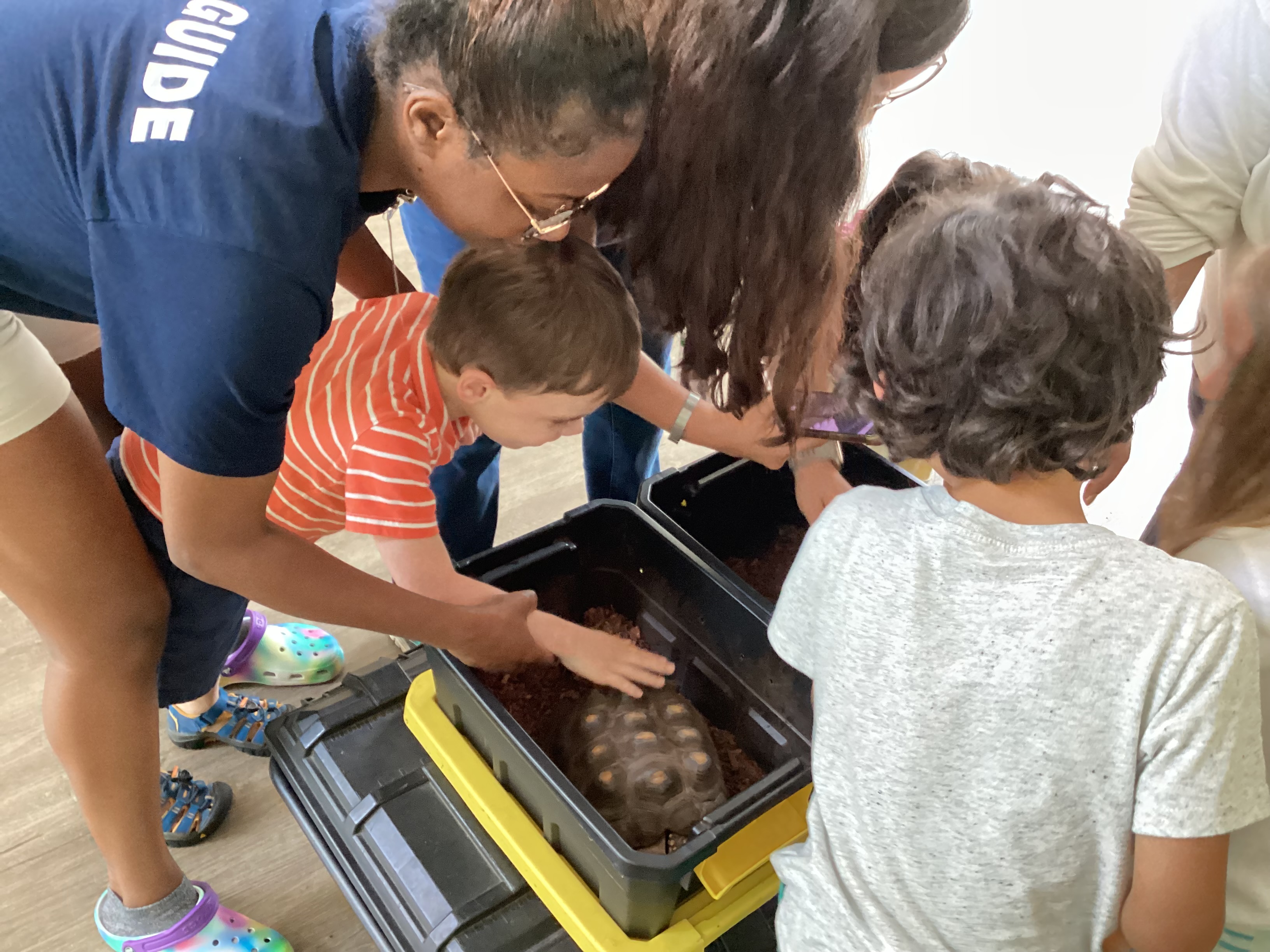 Summer Camp 2023: A tactile turtle that visited with the Reptile Guy.