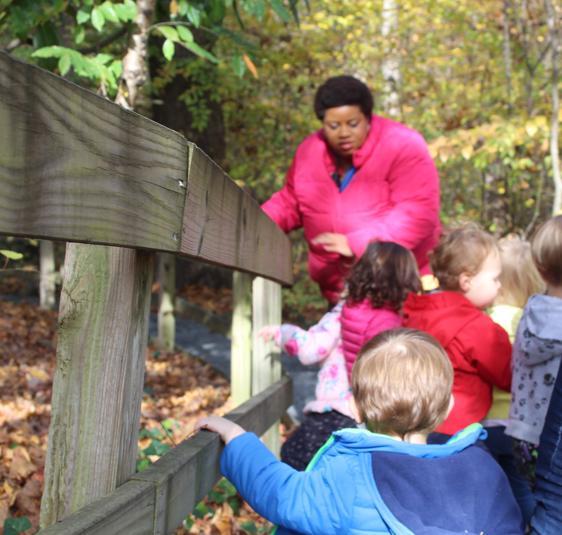 Frazer Forest Outdoor Classroom