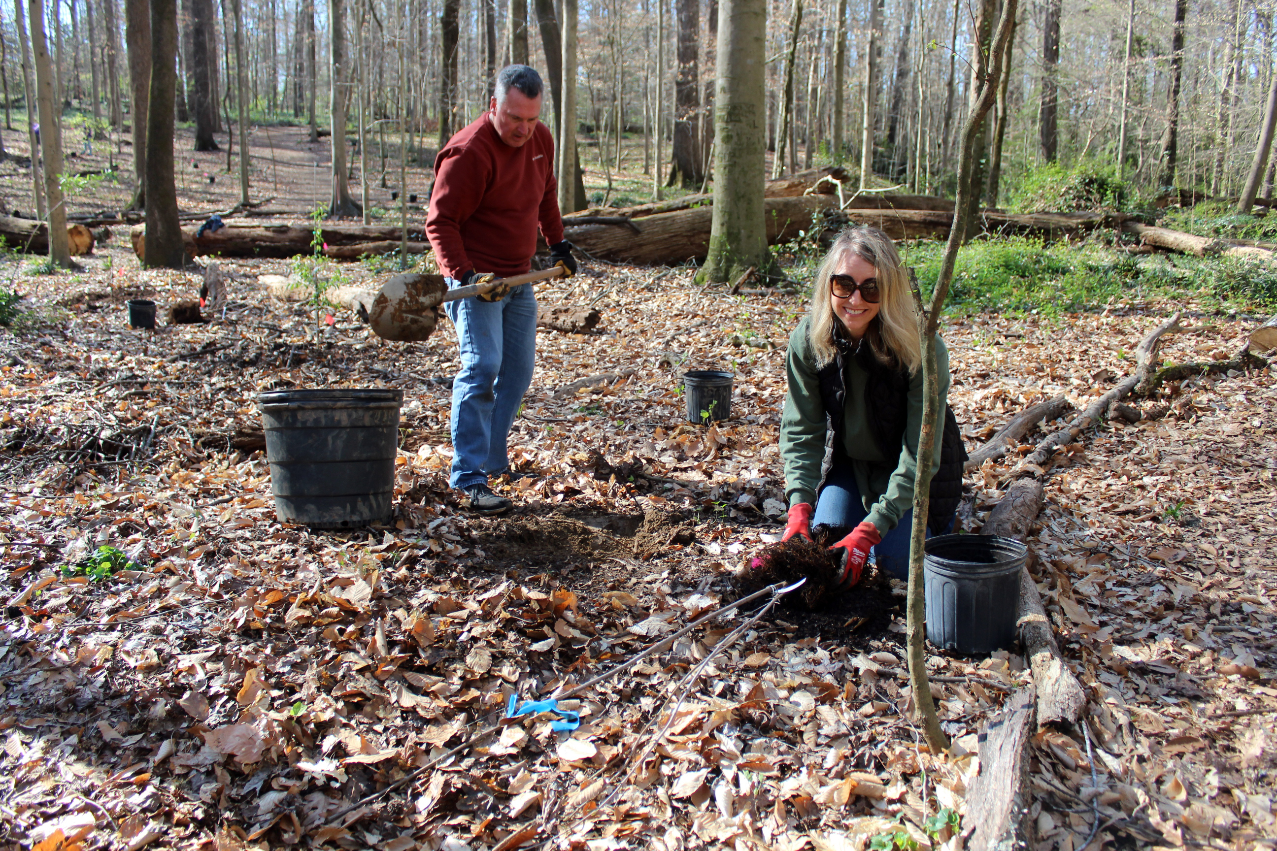 Volunteers from FedEx planting new trees in Frazer Forest.