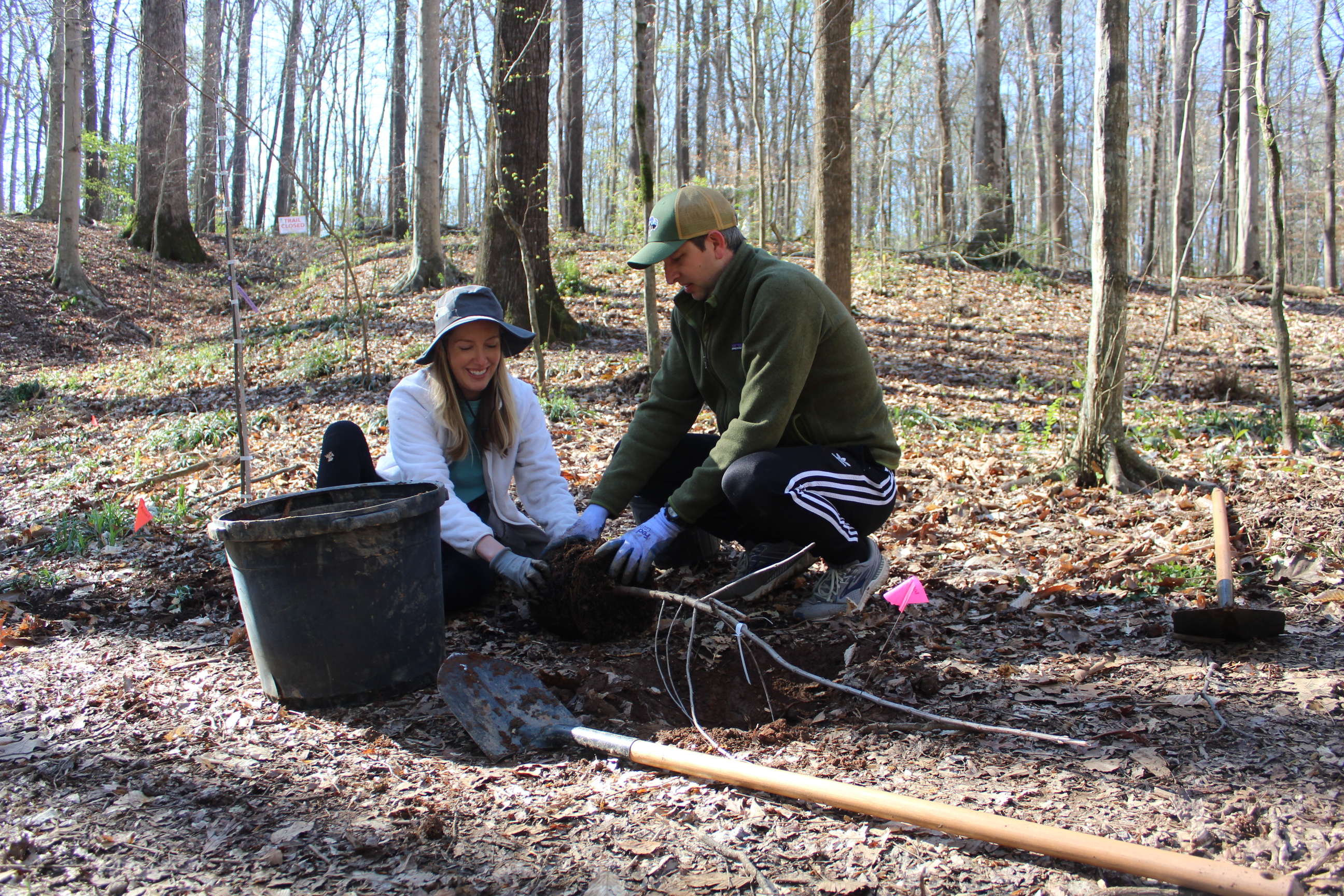 Volunteers from FedEx planting new trees in Frazer Forest.
