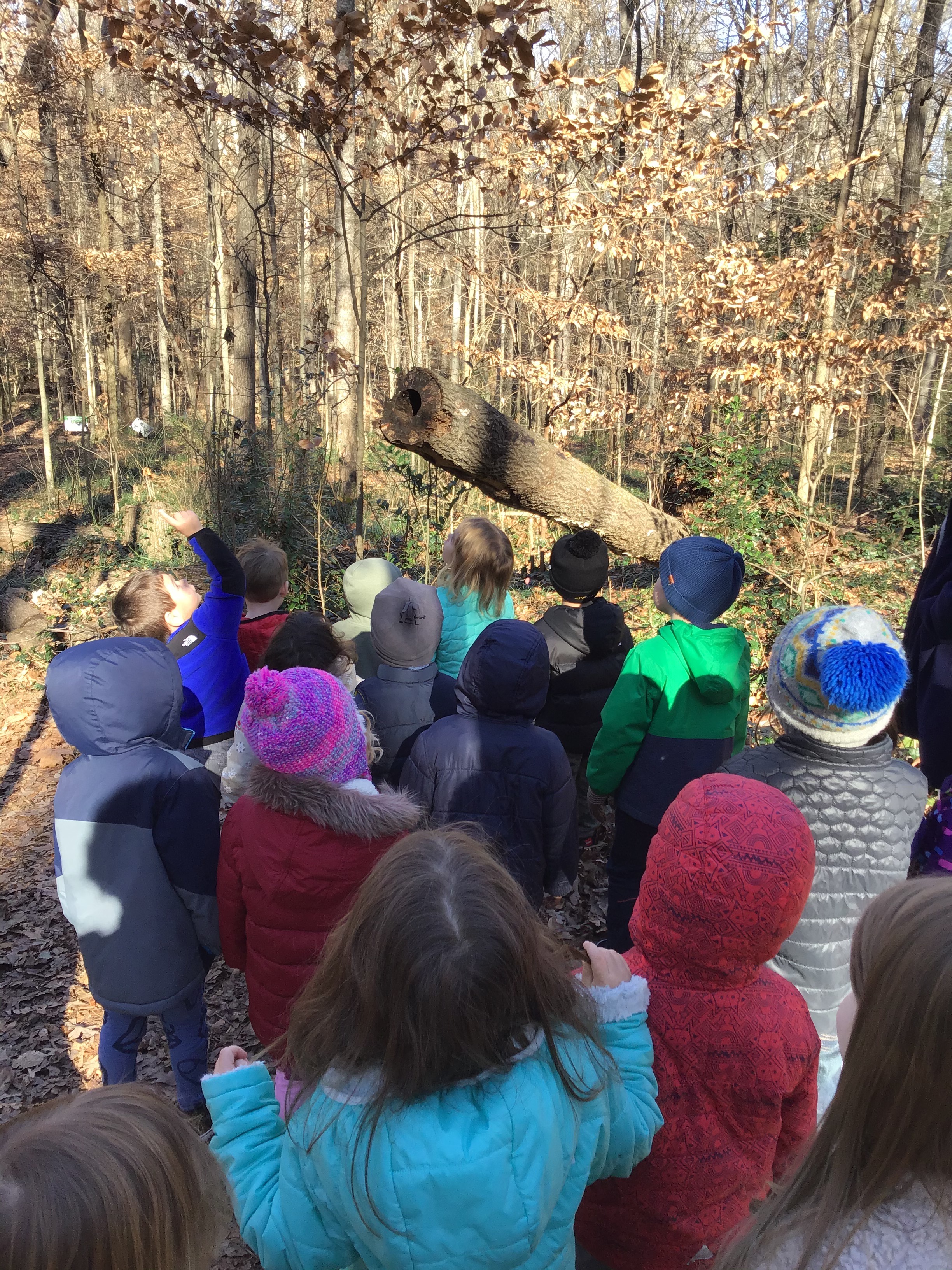 Frazer Forest Outdoor Classroom