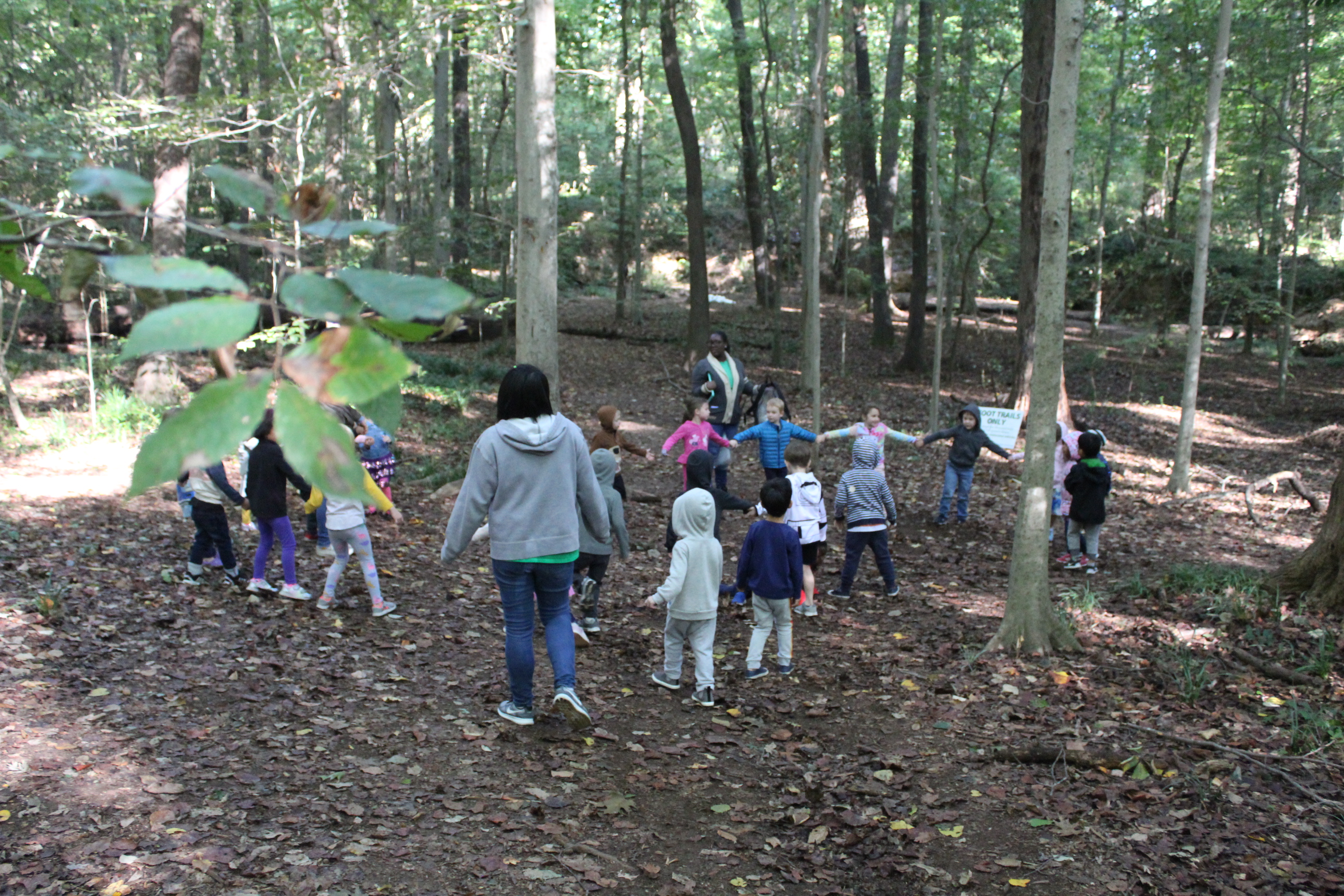 Frazer Forest Outdoor Classroom