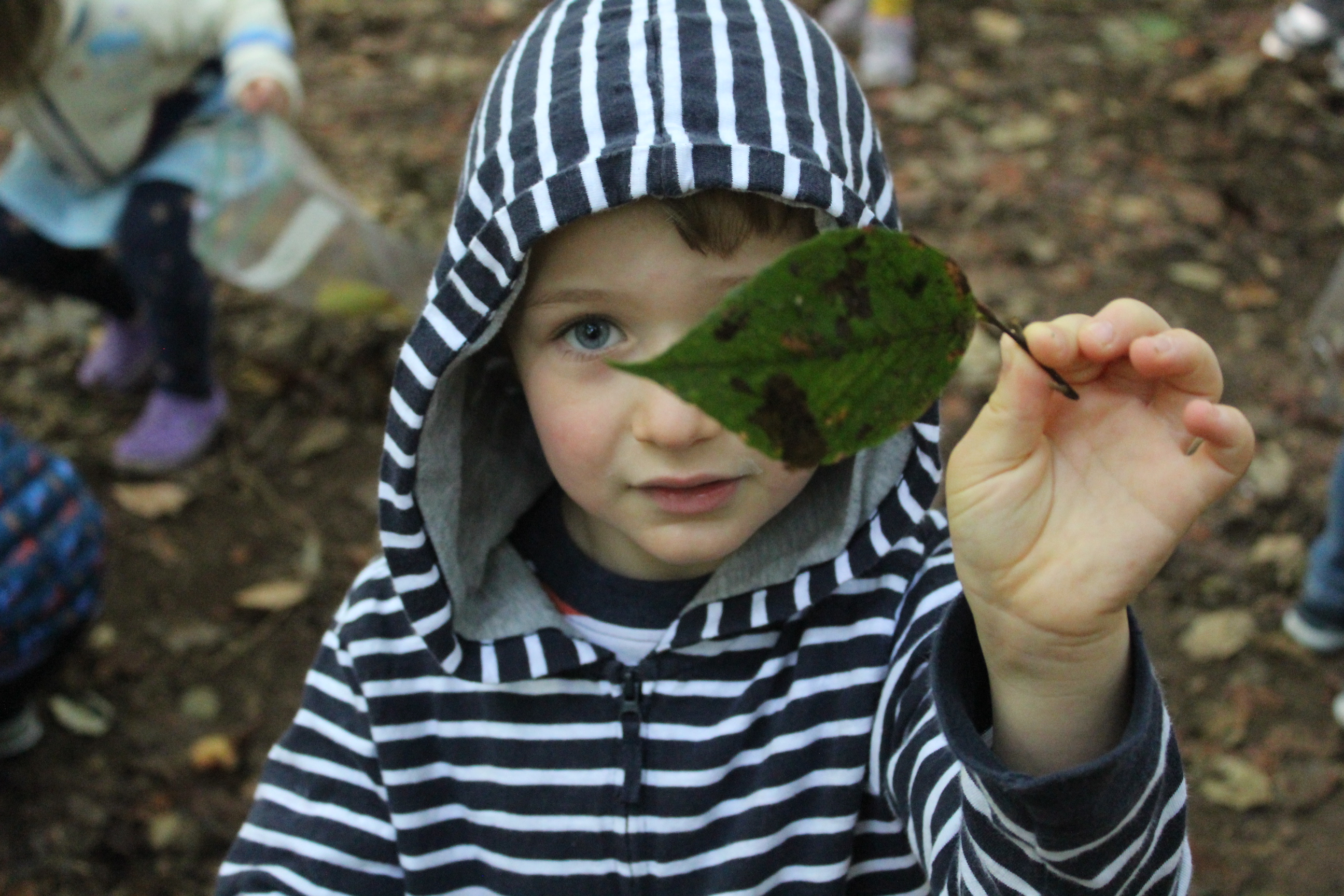 Frazer Forest Outdoor Classroom