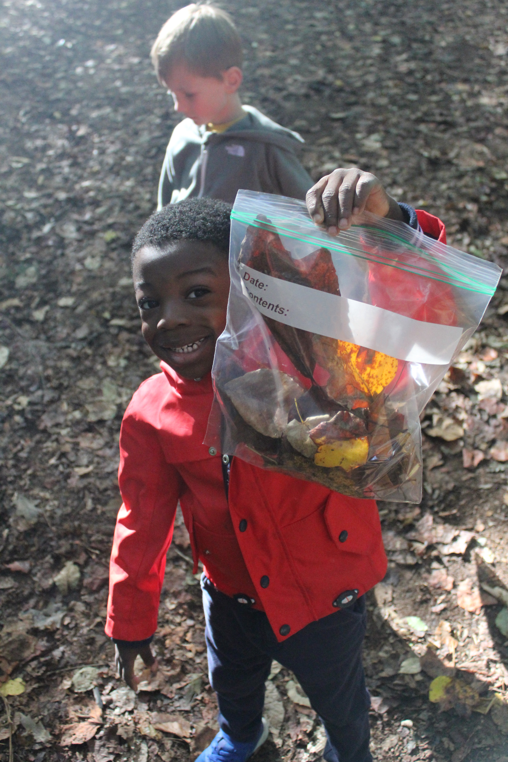 Frazer Forest Outdoor Classroom