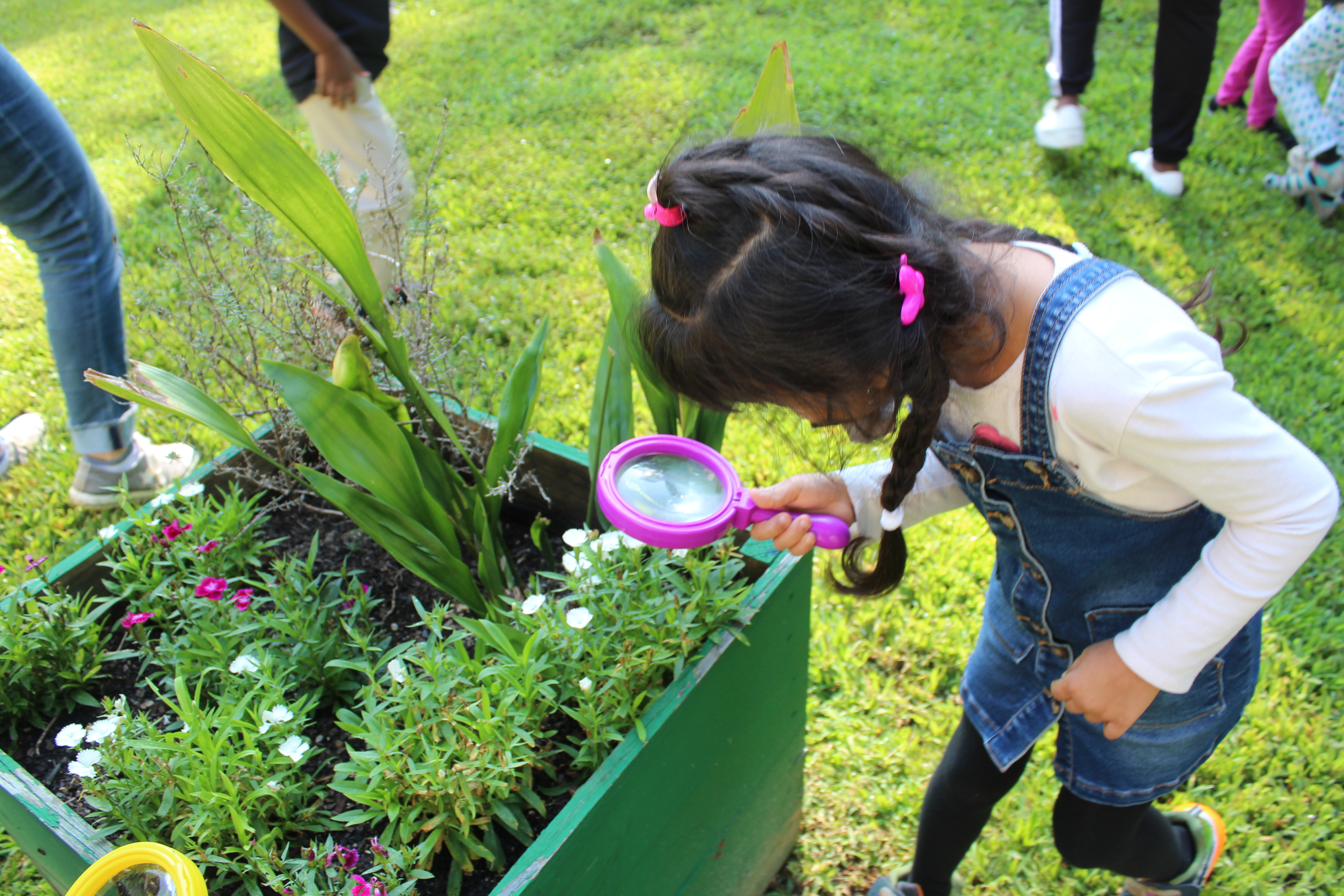 Then we go outside with our magnifying glasses to see what we can see.