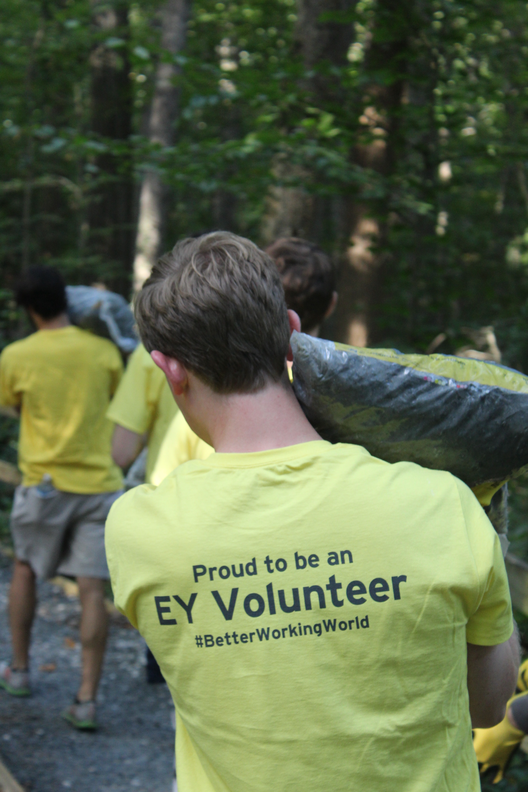 Ernst & Young volunteers doing trail maintenance in Frazer Forest