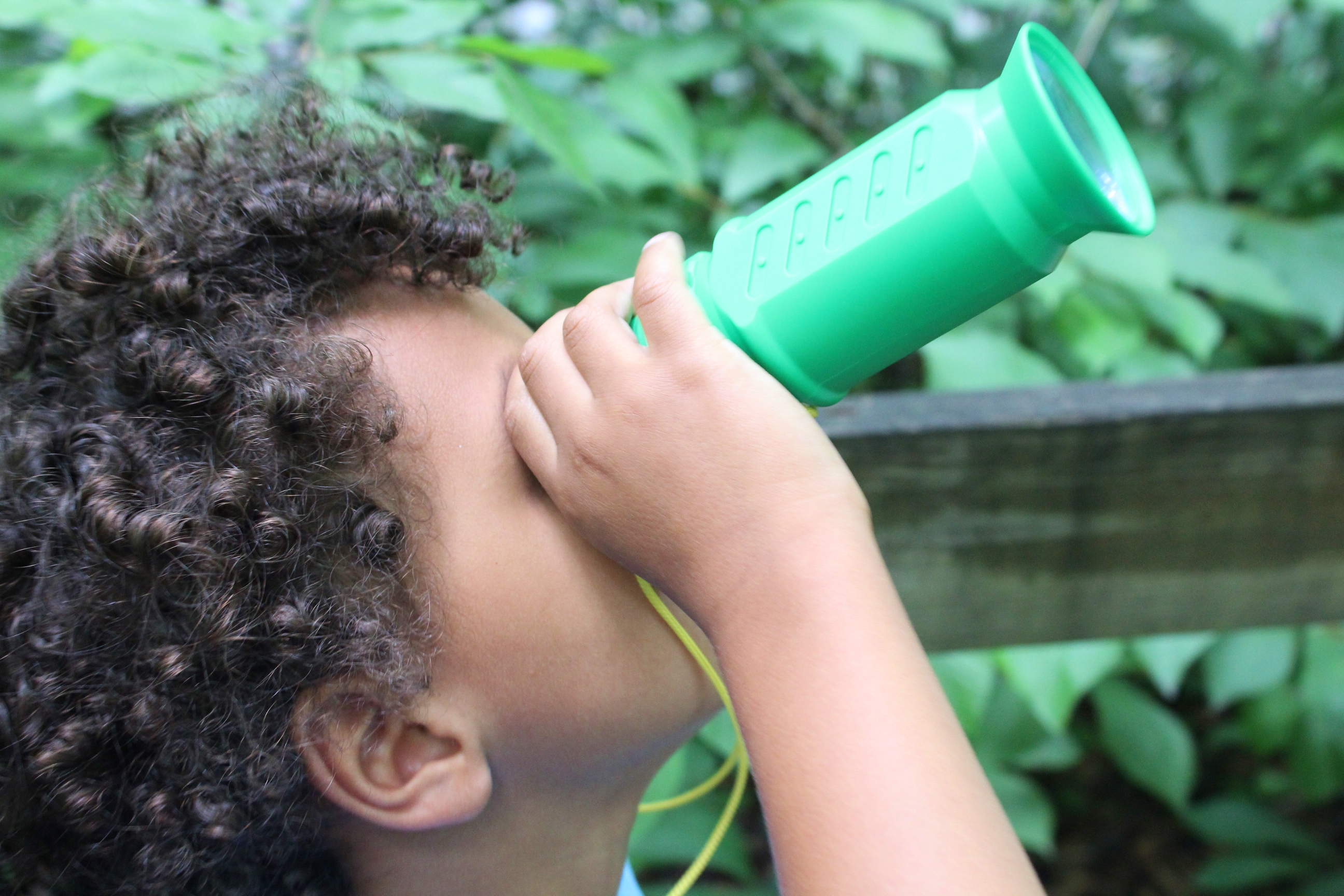 Frazer Forest Outdoor Classroom