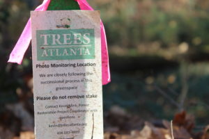 Trees Atlanta signpost for photo monitoring location