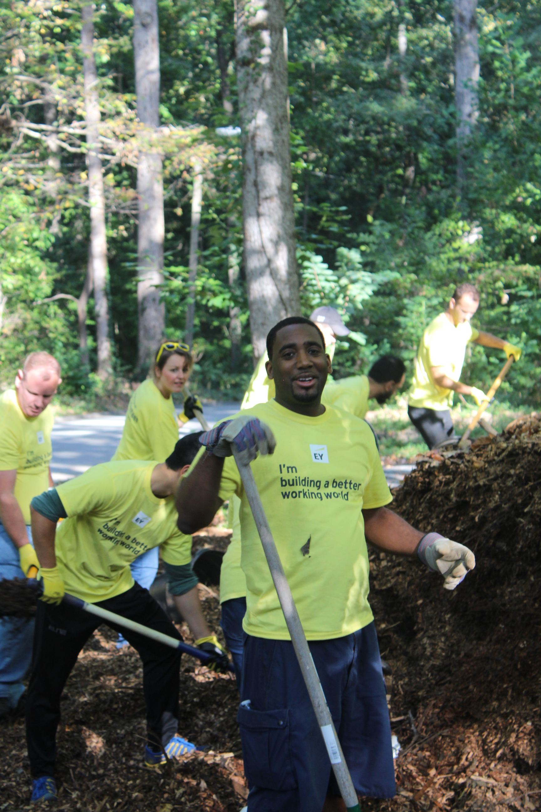 Ernst & Young employees helping spread mulch in Frazer Forest