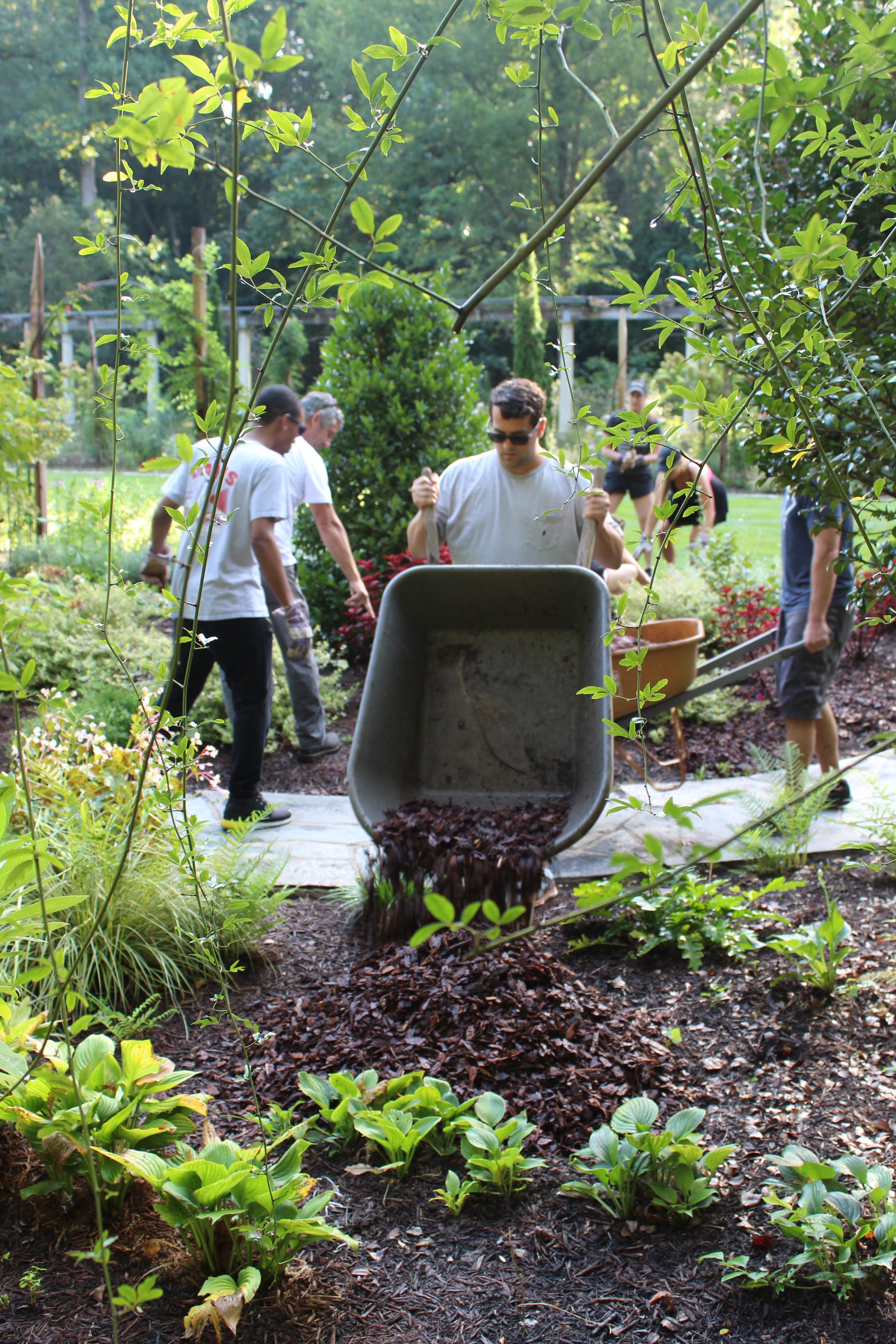 Terminus employees helping out at Cator Woolford Gardens