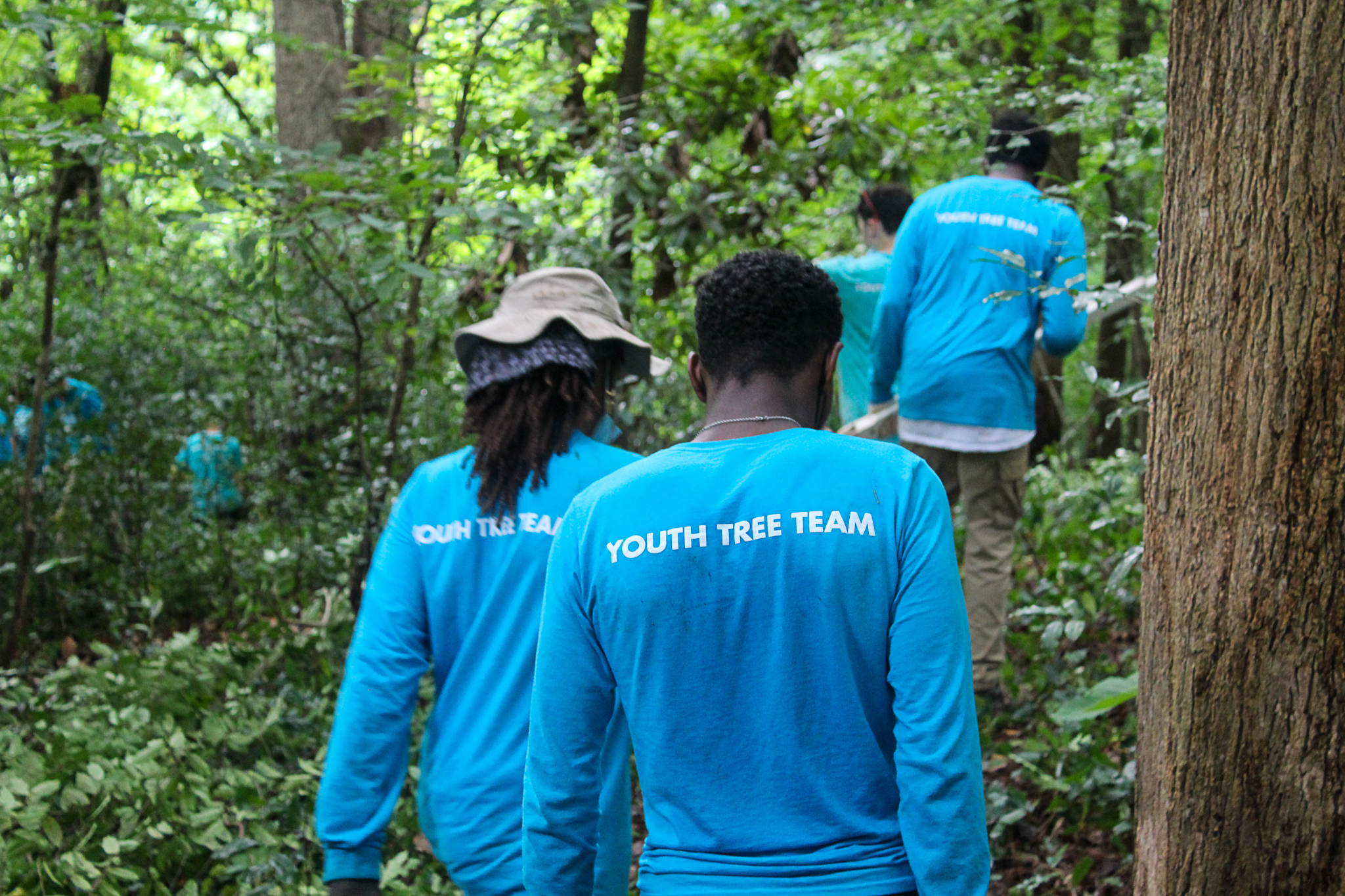 Trees Atlanta Youth Tree Team 2022