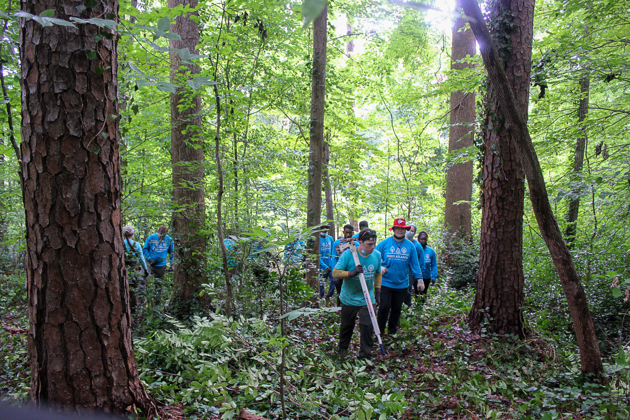 Trees Atlanta Youth Tree Team 2022