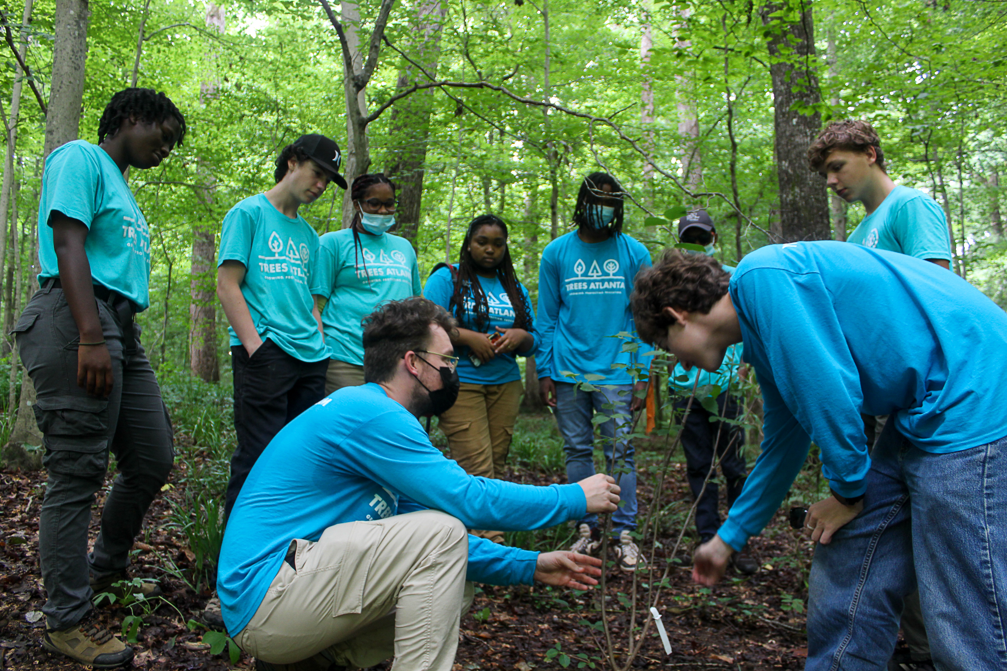 Trees Atlanta Youth Tree Team 2022 and staff